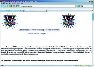 Figura 5. Pagina web mostrata dal chip quando si carica lo stack TCP/IP