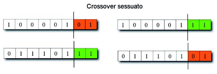 Figura 4: un esempio di crossover sessuato.