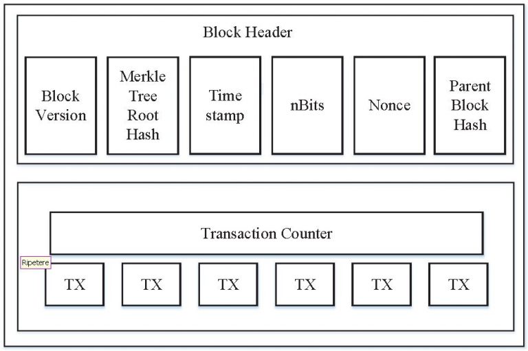 Figura 2: Schema di un blocco nella Blockchain.