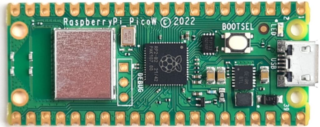 Scheda Raspberry Pi Pico W