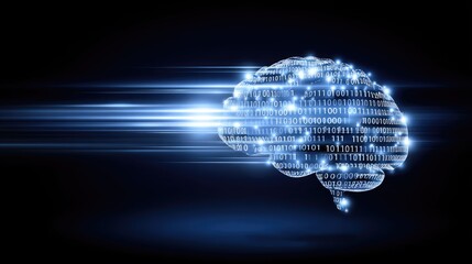 brain 